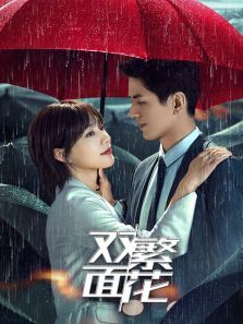 双面繁花 双面繁花