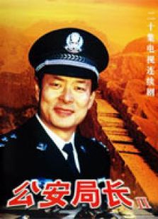 公安局长2 公安局长2