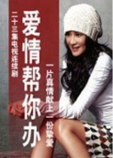 爱情帮你办 爱情帮你办