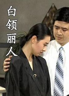 白领丽人 白领丽人