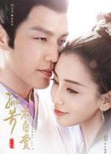 孤芳不自赏未删减版 孤芳不自赏未删减版