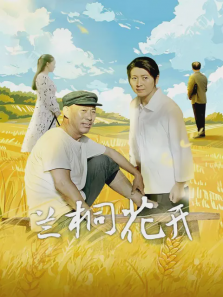 兰桐花开 兰桐花开
