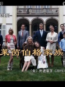 《莱茵伯格家族》德国精彩看点 《莱茵伯格家族》德国精彩看点