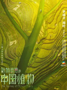 影响世界的中国植物 影响世界的中国植物