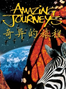 奇异的旅程 奇异的旅程