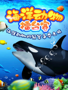 海洋动物擂台赛秀出你的风采吧 海洋动物擂台赛秀出你的风采吧