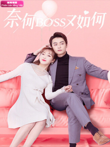 奈何BOSS又如何越南语版 奈何BOSS又如何越南语版