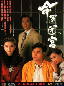 命运迷宫普通话版 命运迷宫普通话版