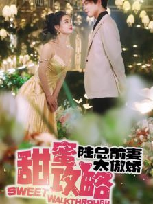 甜蜜攻略陆总前妻太傲娇 甜蜜攻略陆总前妻太傲娇