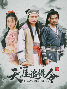 天涯追缉令 天涯追缉令