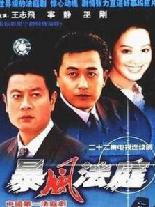 暴风法庭 暴风法庭