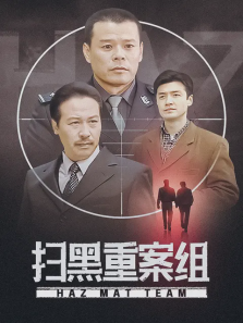 扫黑重案组 扫黑重案组