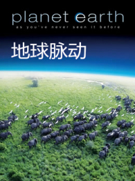 BBC��������