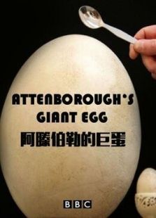 BBC大卫爱登堡的巨蛋 BBC大卫爱登堡的巨蛋