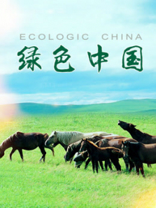绿色中国 绿色中国