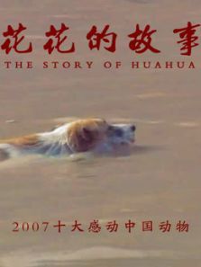 花花的故事 花花的故事