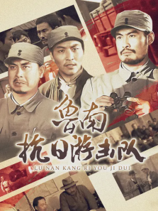 鲁南抗日游击队 鲁南抗日游击队