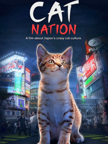 猫的国度 猫的国度