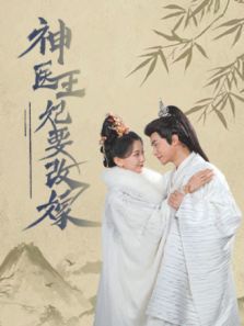 神医王妃要改嫁 神医王妃要改嫁