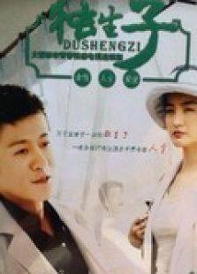独生子电视剧全集