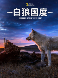 ���ǹ��ȵ�1������ȫ��