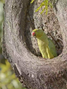 ������������ȫ��