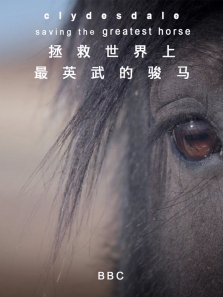 ������������Ӣ��Ŀ�������ȫ��