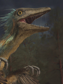 ����˹�ӿ�������ȫ��