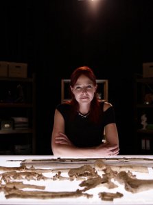 �ھ�Ӣ����10������ȫ��