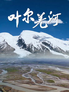 Ҷ��Ǽ������ȫ��