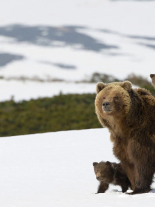 �����������ȫ��