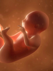 ������غ�輤������ȫ��