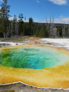 ������ɽ����ȫ��