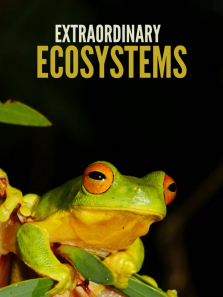 ������̬ϵͳ����ȫ��