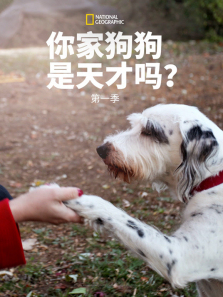 ��Ĺ�����������1������ȫ��