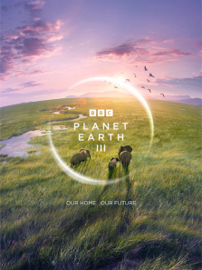 ��������III����ȫ��