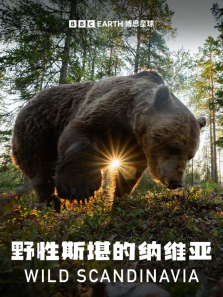 Ұ��˹������ά������ȫ��