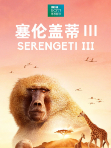 ���׸ǵٵ�3������ȫ��