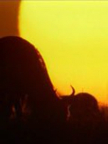 Ǩ��·��������ȫ��