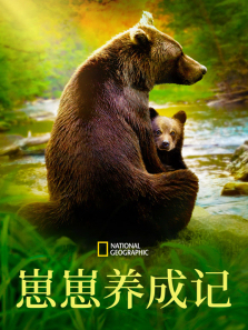 �������ɼ�����ȫ��