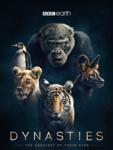 ������1������ȫ��