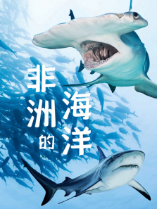 ���޵ĺ�������ȫ��