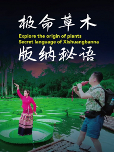 ������ľ������������ȫ��