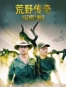 ��Ұ��������ȫ��