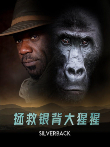 ������������������ȫ��