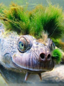 1���ӿ���������ȫ��