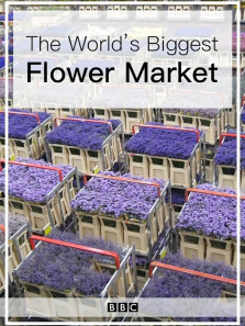 �����������ʻ��г�����ȫ��