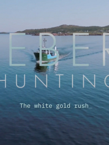 ���Ա�ɽ����ȫ��