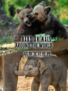 ���ﱦ����������������ȫ��