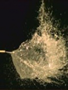 ����������������ȫ��